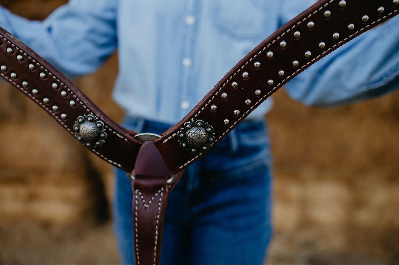 Breast Collars, Headstalls & Reins