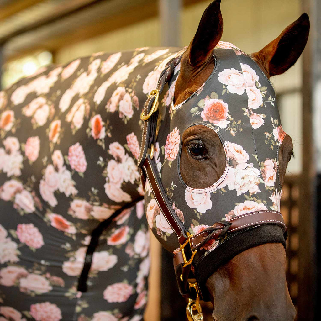 Jeffers Expression Lycra Horse Hood