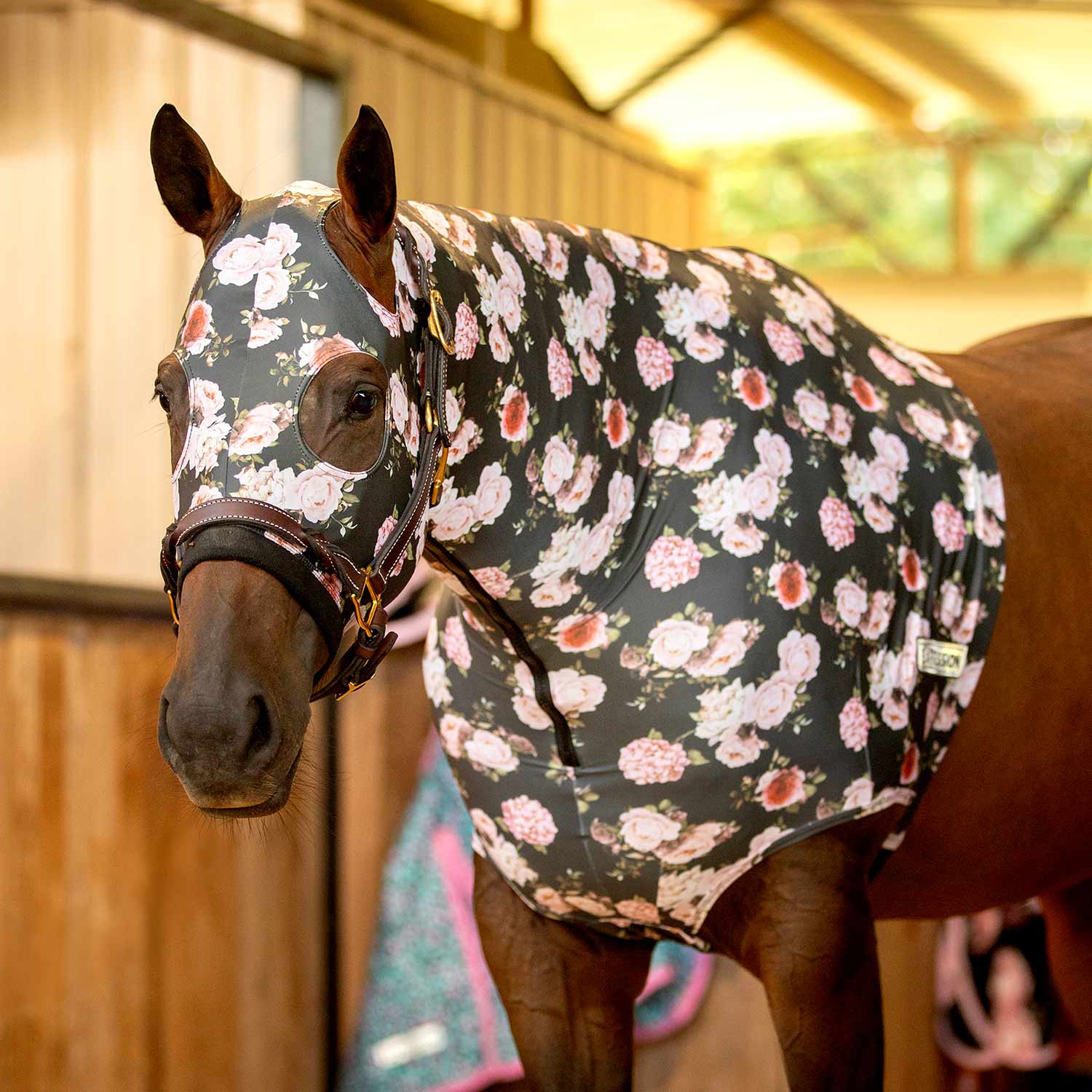 Jeffers Expression Lycra Horse Hood
