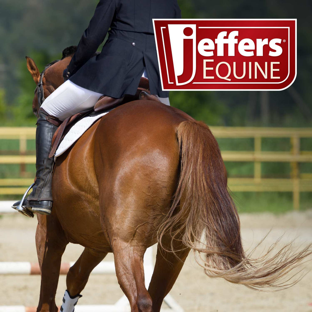 Jeffers Equine Tail & Mane Detangler and Conditioner