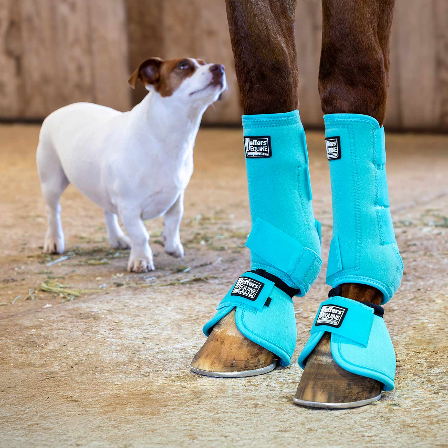 Jeffers Protective Horse Boots – Solid Colors