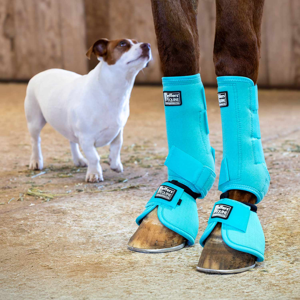 Jeffers No-Turn Bell Boots for Horses, Solid Colors, 2 ct
