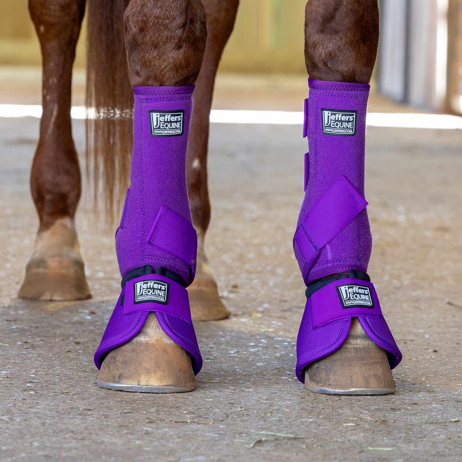 Jeffers Protective Horse Boots – Solid Colors