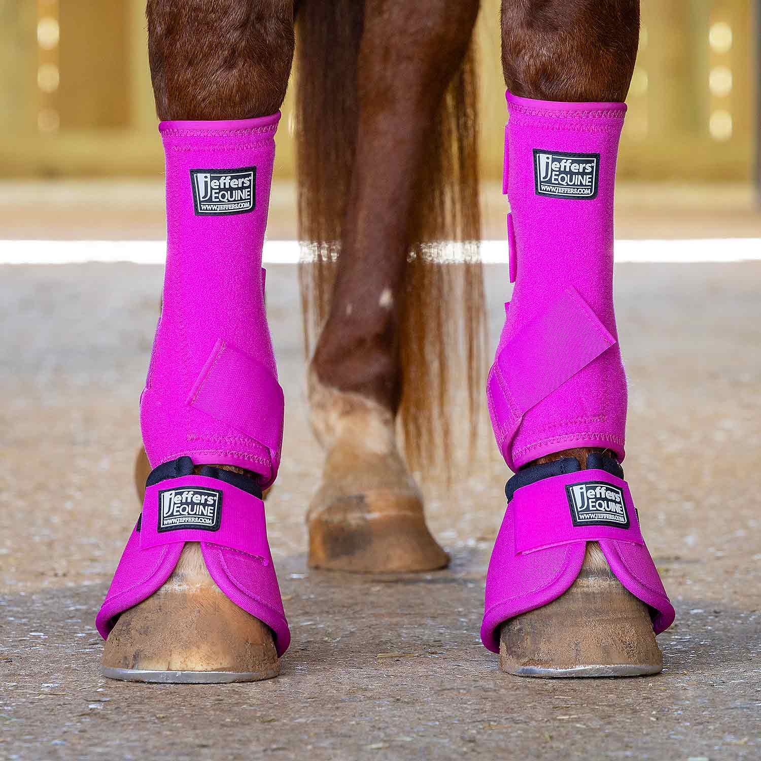 Jeffers Protective Horse Boots – Solid Colors