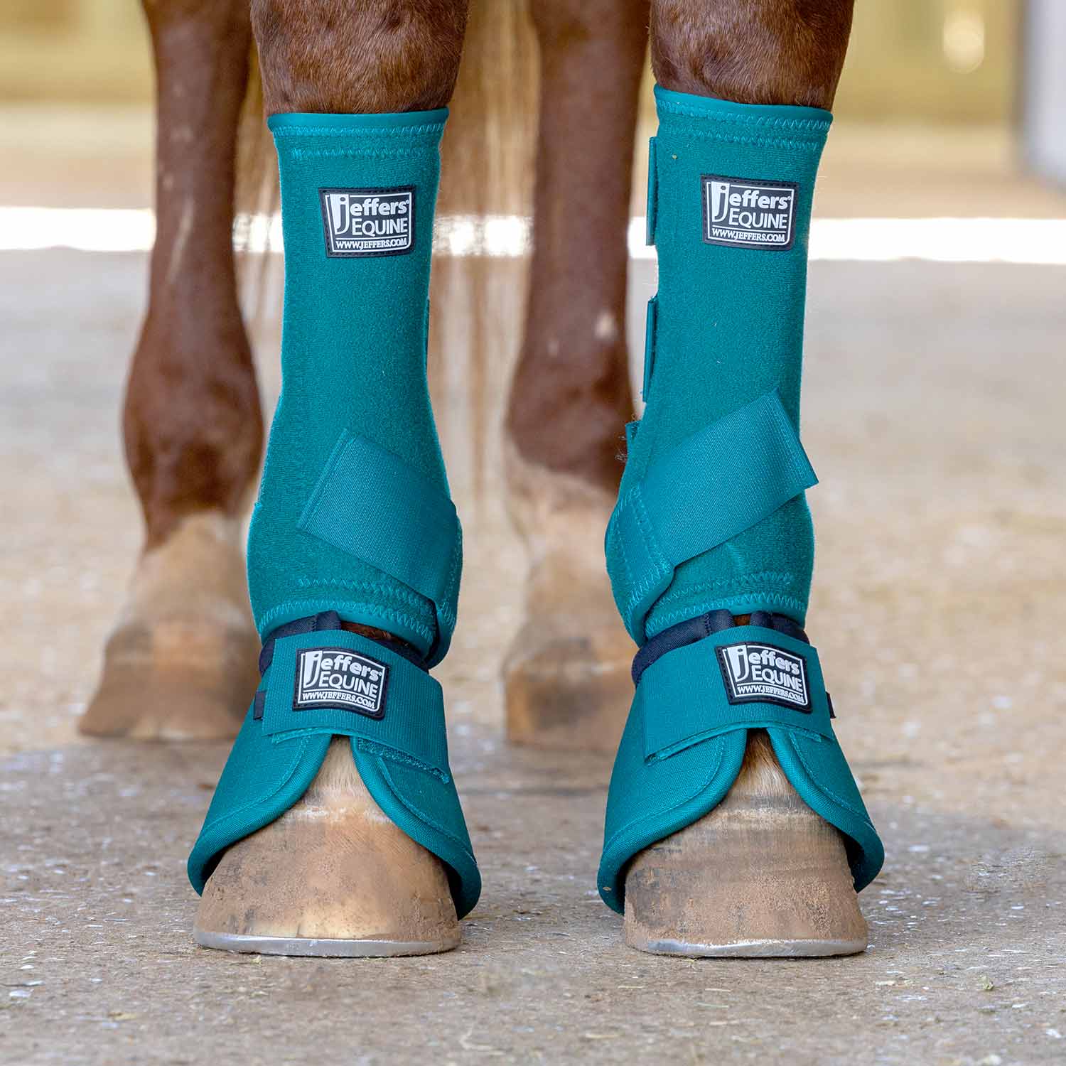 Jeffers Protective Horse Boots – Solid Colors