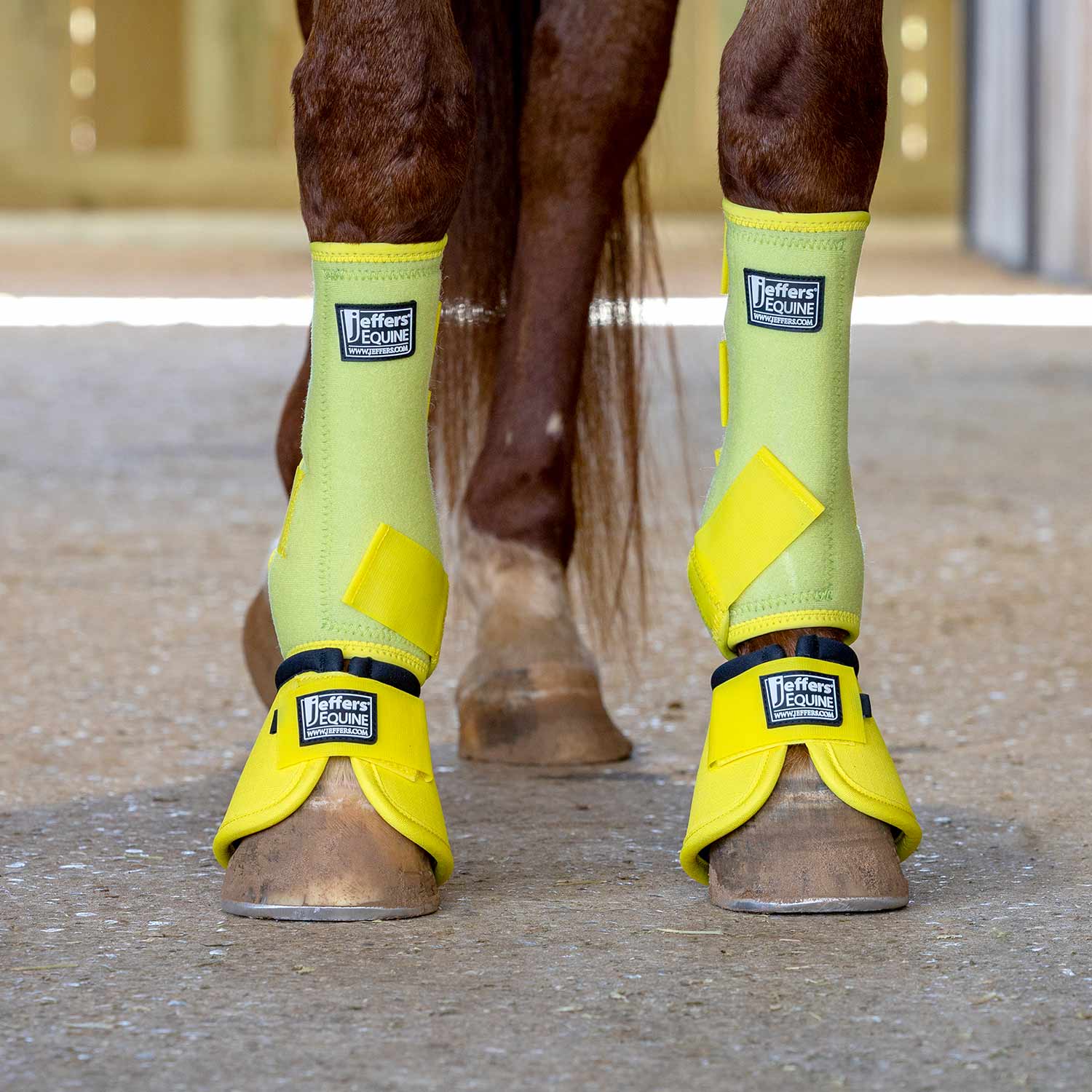 Jeffers Protective Horse Boots – Solid Colors