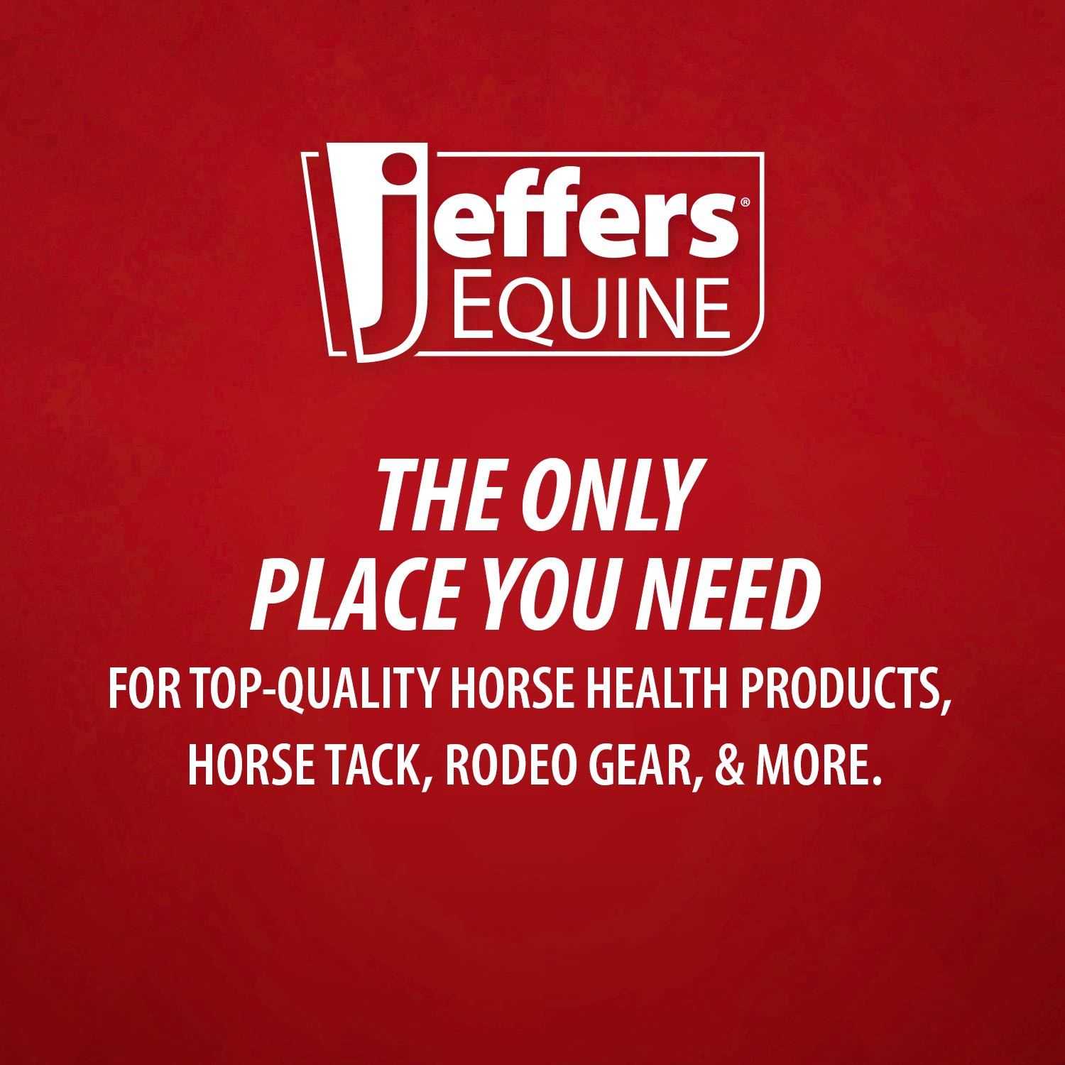 Jeffers Protective Horse Boots – Solid Colors