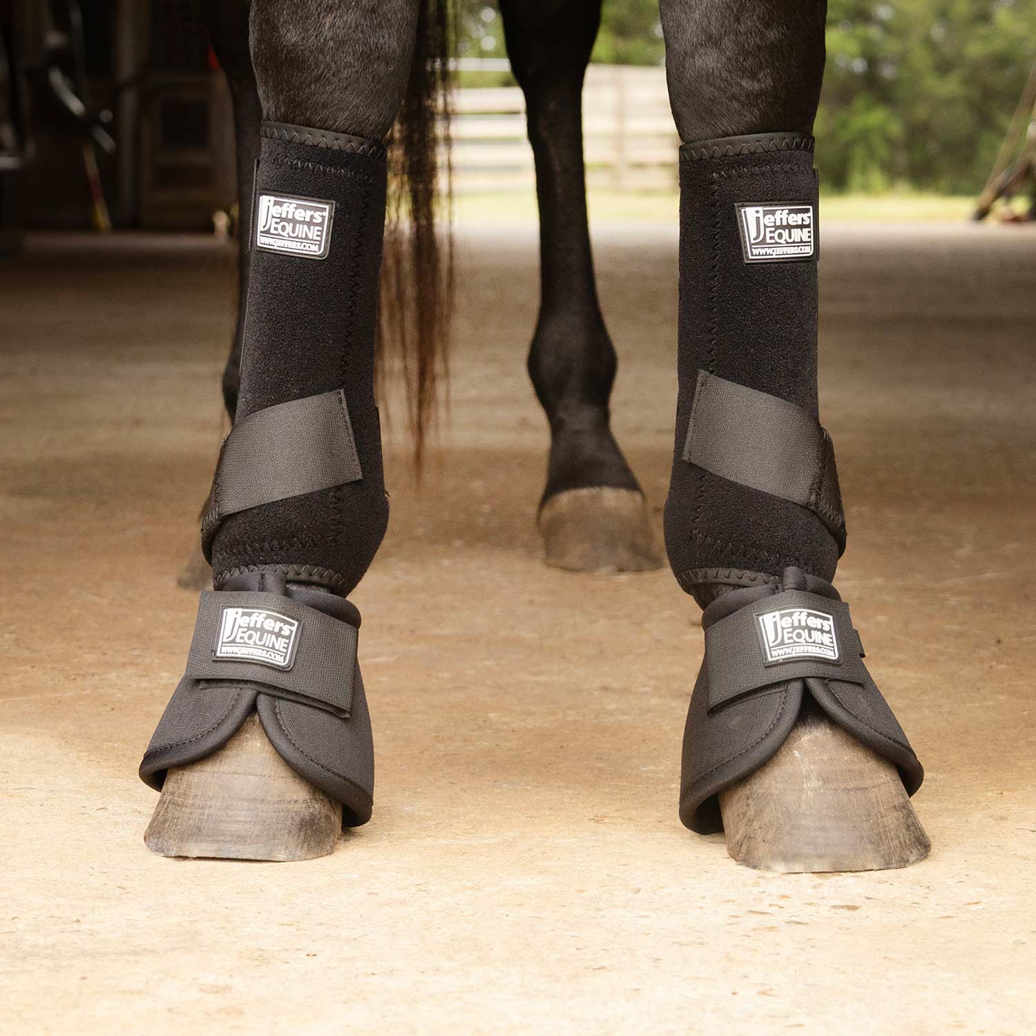 Jeffers Protective Horse Boots – Solid Colors