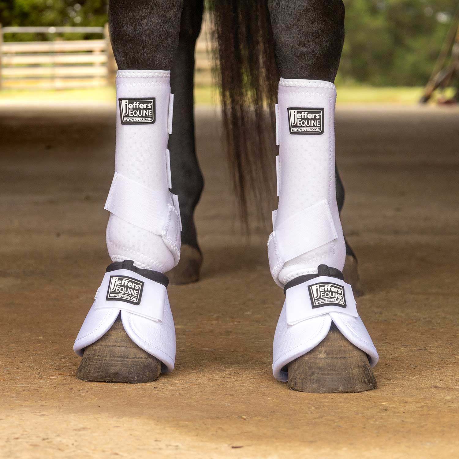 Jeffers Protective Horse Boots – Solid Colors