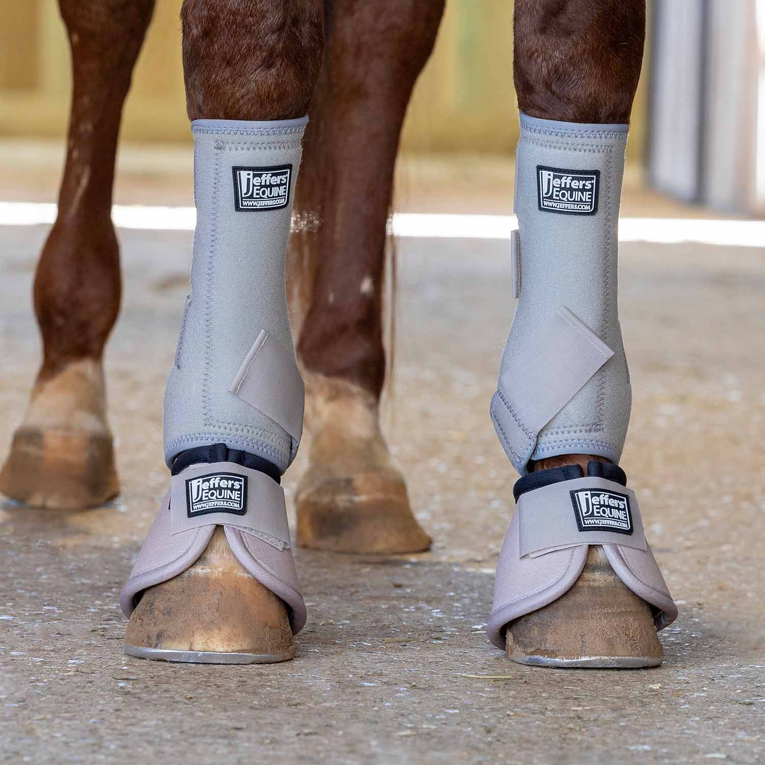 Jeffers Protective Horse Boots – Solid Colors