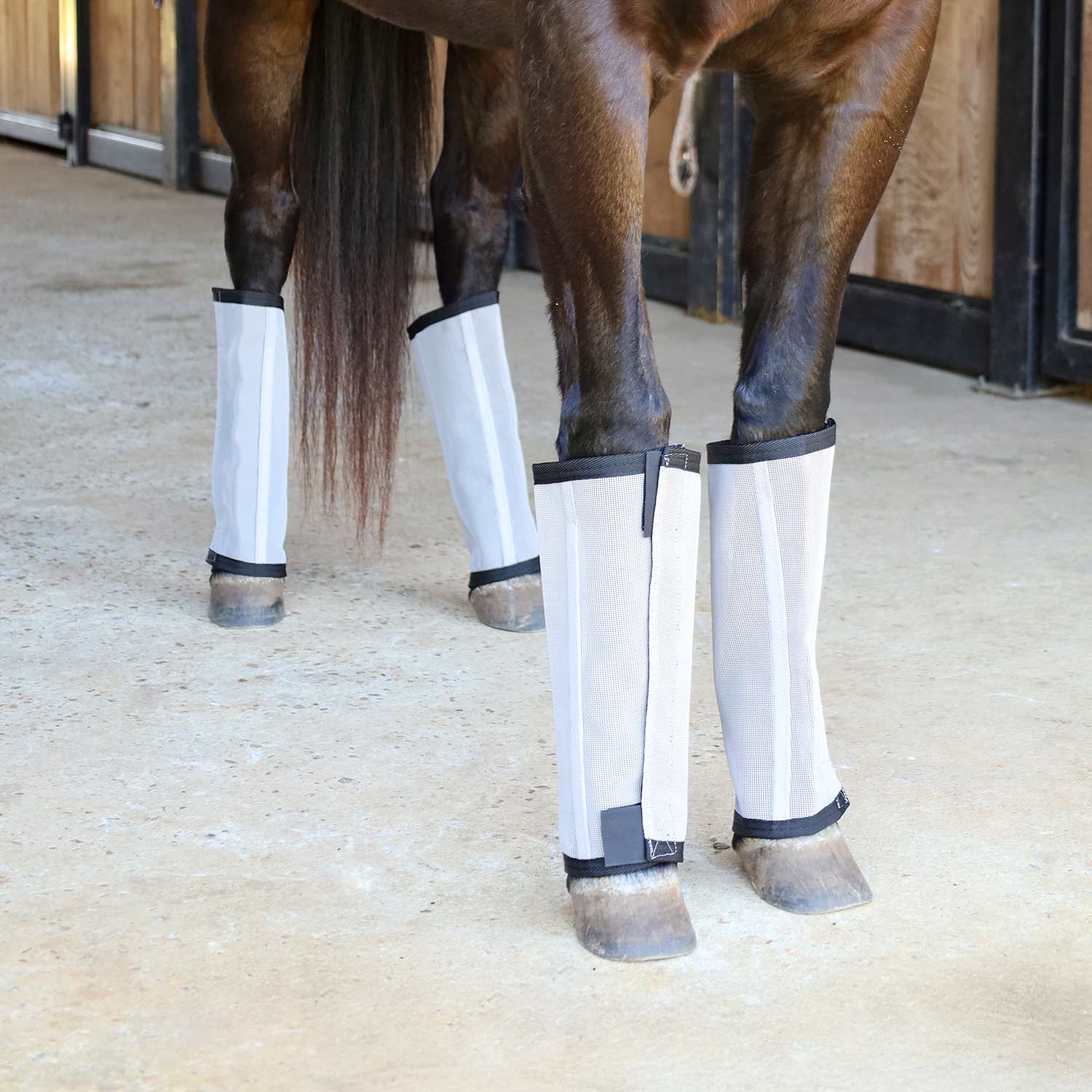 Jeffers Romper Stomper Stomp-Free Fly Boots – 4 Pack