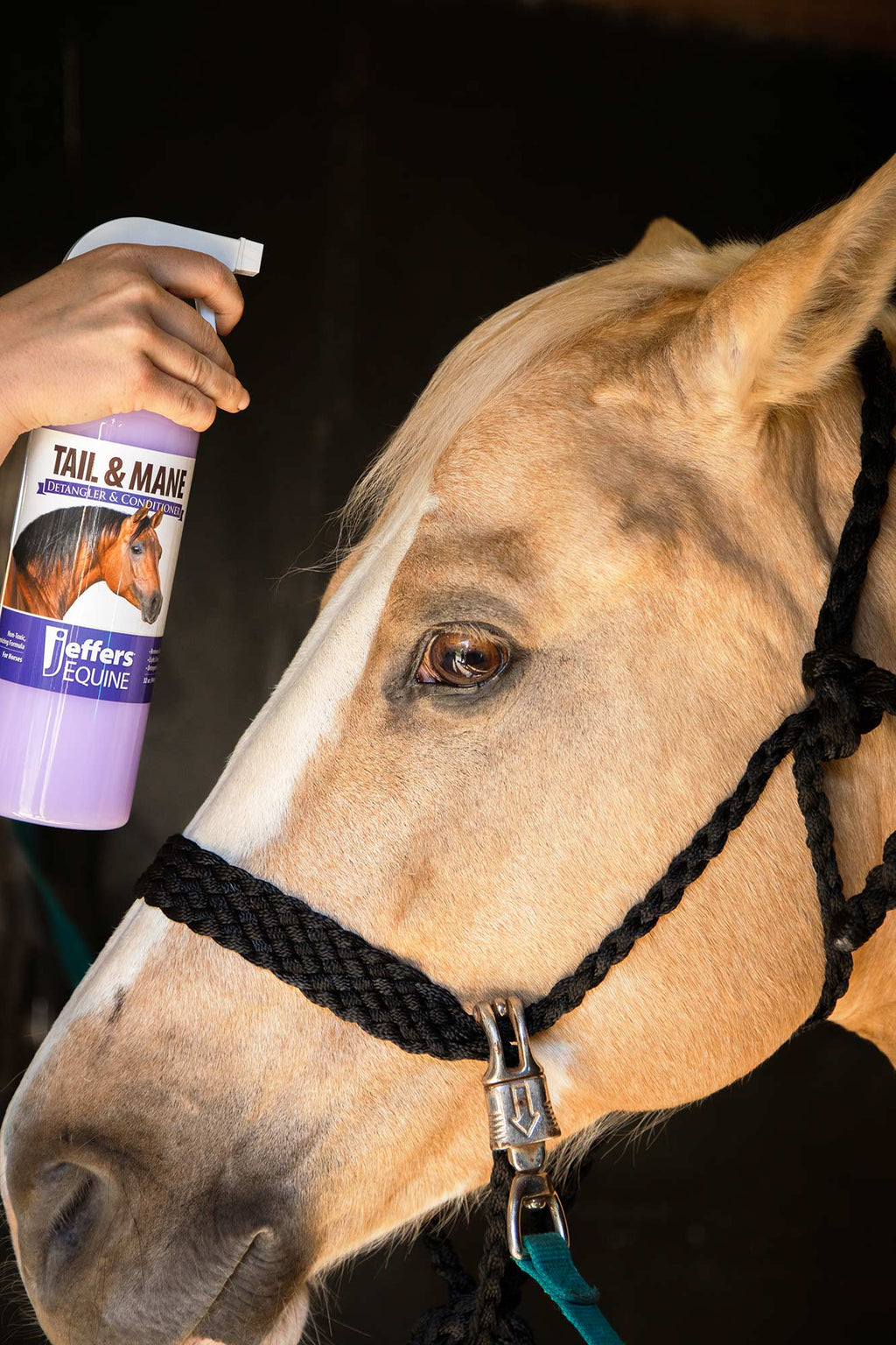 Jeffers Equine Tail & Mane Detangler and Conditioner