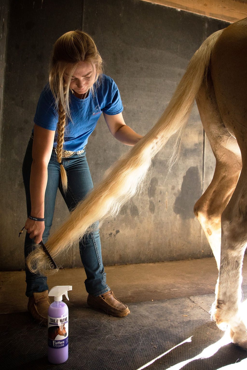 Jeffers Equine Tail & Mane Detangler and Conditioner