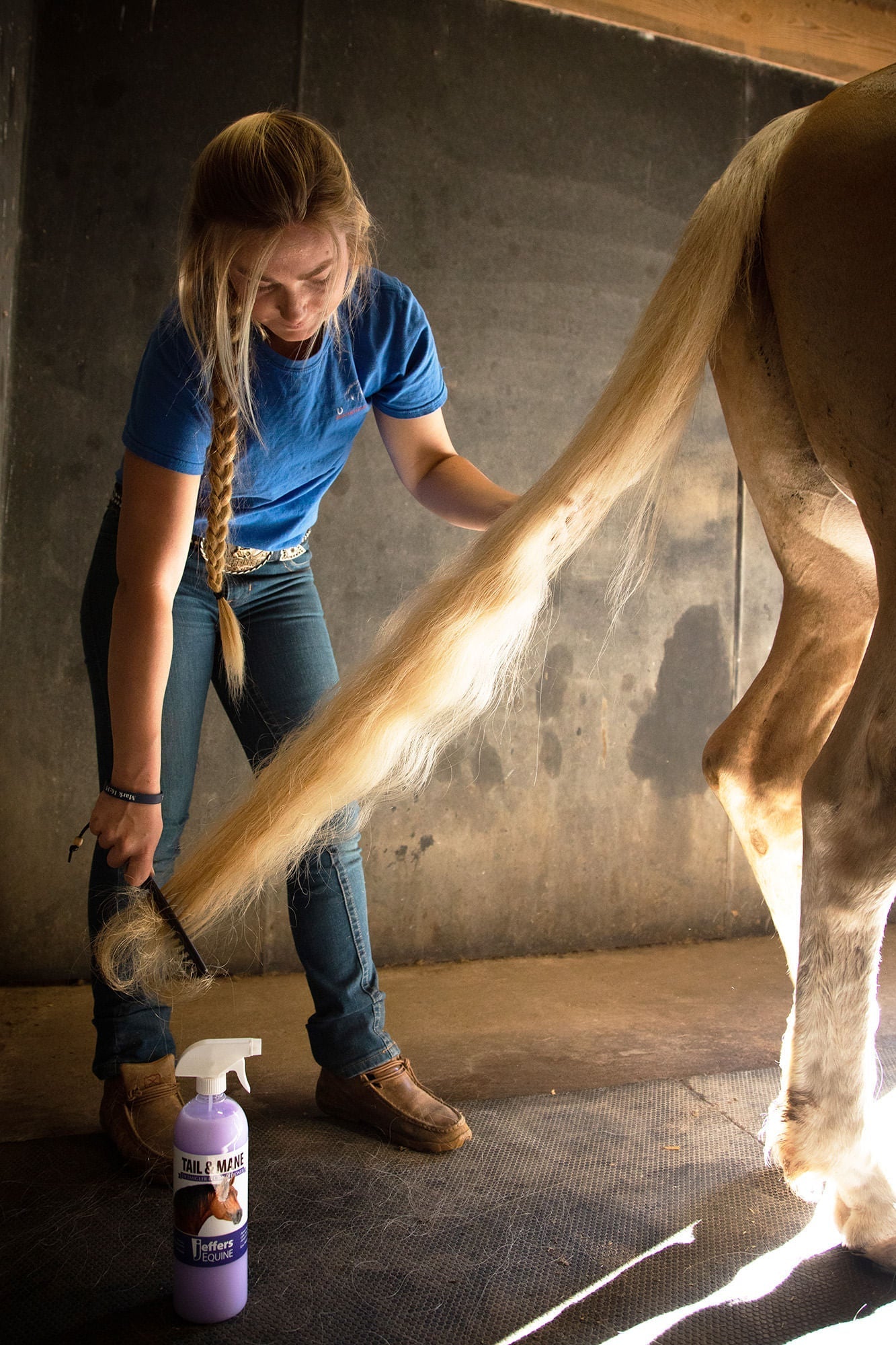 Jeffers Equine Tail & Mane Detangler and Conditioner