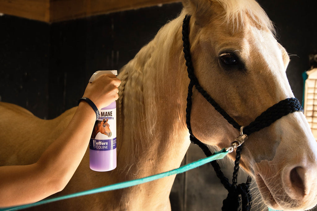 Jeffers Equine Tail & Mane Detangler and Conditioner