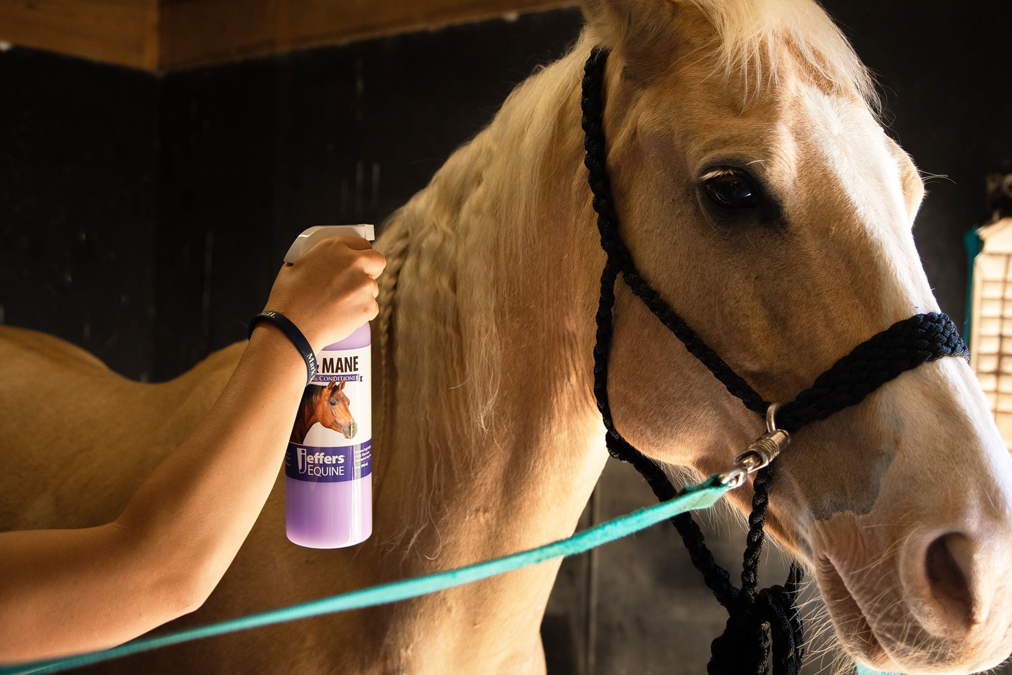 Jeffers Equine Tail & Mane Detangler and Conditioner